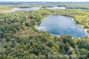 V/L N 176th Ave, Walkerville, MI 49459 - Photo 1
