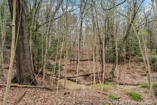 2322 Forest Trail Cir, Fennville, MI 49408 - Photo 82