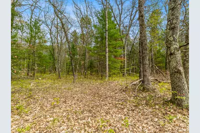 0 Maple Avenue, Brethren, MI 49619 - Photo 6