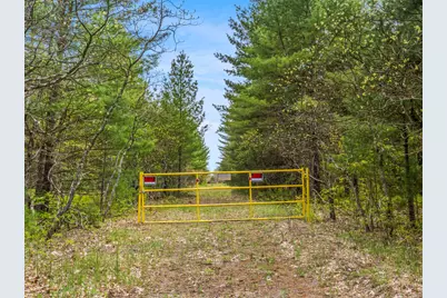 0 Maple Avenue, Brethren, MI 49619 - Photo 4