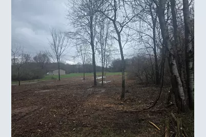 S Baldwin Avenue, White Cloud, MI 49349 - Photo 6