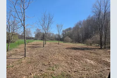 S Baldwin Avenue, White Cloud, MI 49349 - Photo 2