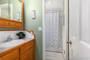 229 Ivason Dr, Stanton, MI 48888 - Photo 22