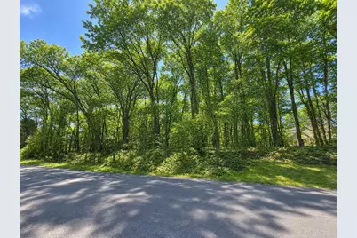 V/L Stoney Creek Drive, Augusta, MI 49012 - Photo 4