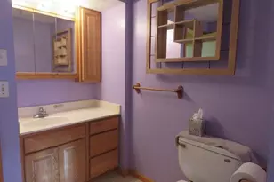 7861 S Dyer Lake Dr, Falmouth, MI 49632 - Photo 10