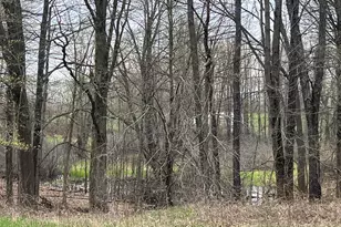 4785 N Vining Rd, Lakeview, MI 48850 - Photo 20