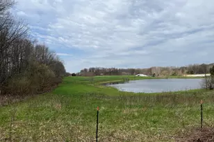 4785 N Vining Rd, Lakeview, MI 48850 - Photo 12