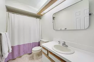 220 Lyn Anne Ct, Ann Arbor, MI 48103 - Photo 12