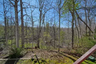 448 Raisin River Dr, Adrian, MI 49221 - Photo 30