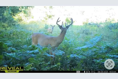 20200 Hibma Road, Tustin, MI 49688 - Photo 14
