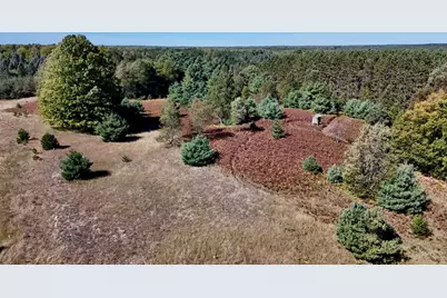 20200 Hibma Road, Tustin, MI 49688 - Photo 76