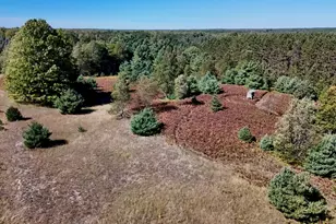 20200 Hibma Rd, Tustin, MI 49688 - Photo 76