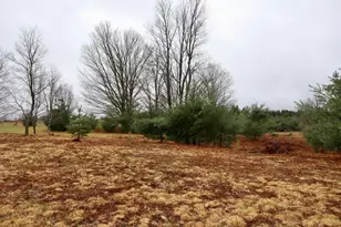 20200 Hibma Rd, Tustin, MI 49688 - Photo 90