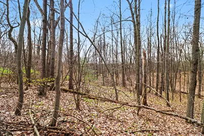 6940 19 Mile Road NE, Cedar Springs, MI 49319 - Photo 1