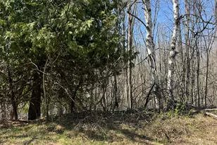 5084 Sandy Run Rd, Sears, MI 49679 - Photo 50