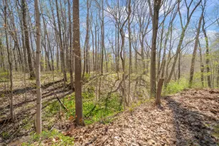4796 Naomi Ln, Saint Joseph, MI 49085 - Photo 60