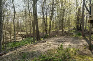 258 Lowe St, Allegan, MI 49010 - Photo 50