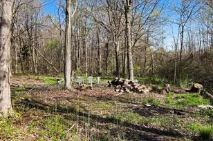 6675 122nd Ave, Fennville, MI 49408 - Photo 40