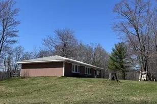 10338 Alpine Dr, Reed City, MI 49677 - Photo 42