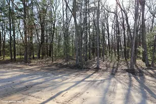 6771 Staple Rd, Twin Lake, MI 49457 - Photo 54