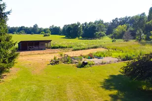 6845 Cochran Rd, Horton, MI 49246 - Photo 58