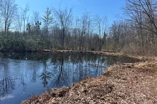 243 W Turkey Ln, White Cloud, MI 49349 - Photo 6