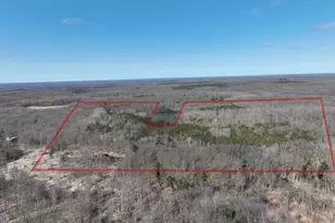 243 W Turkey Ln, White Cloud, MI 49349 - Photo 40