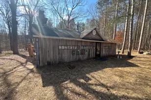 243 W Turkey Ln, White Cloud, MI 49349 - Photo 2