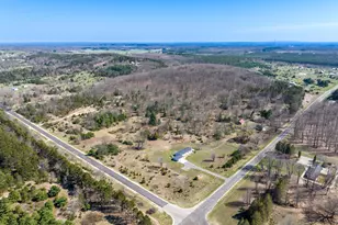 11875 Milarch Rd, Bear Lake, MI 49614 - Photo 10