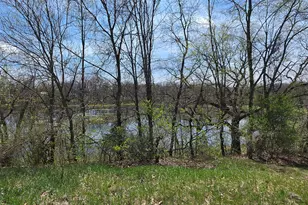 10650 Lawrence Rd, Brooklyn, MI 49230 - Photo 28