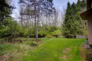 3678 W Primilia Ln, Jackson, MI 49201 - Photo 104
