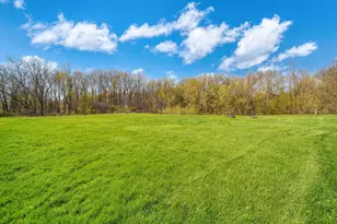 10430 Coon Hill Rd, Munith, MI 49259 - Photo 38