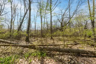 22977 Grandeur Ave, Mattawan, MI 49071 - Photo 36