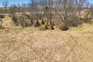 198 W Chicago Rd, Coldwater, MI 49036 - Photo 22