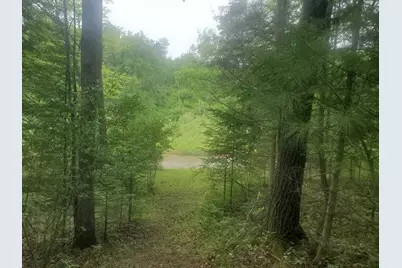 Eagles Nest Way, Gladwin, MI 48624 - Photo 16