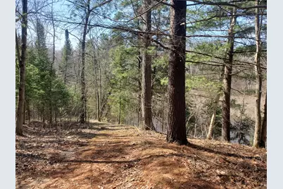 Eagles Nest Way, Gladwin, MI 48624 - Photo 6