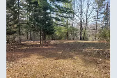 Eagles Nest Way, Gladwin, MI 48624 - Photo 2
