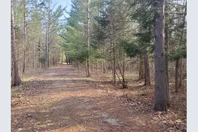Eagles Nest Way, Gladwin, MI 48624 - Photo 1