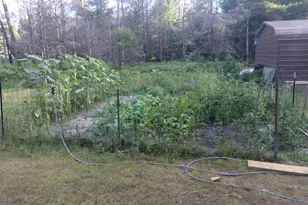 9890 Angel Rd SE, Fife Lake, MI 49633 - Photo 38