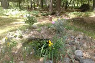 9890 Angel Rd SE, Fife Lake, MI 49633 - Photo 48