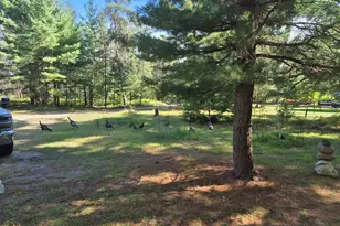 9890 Angel Rd SE, Fife Lake, MI 49633 - Photo 56