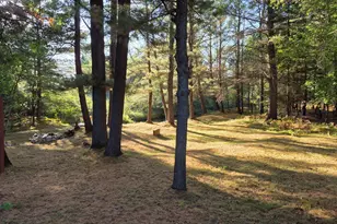 9890 Angel Rd SE, Fife Lake, MI 49633 - Photo 58