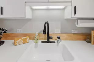 1050 Wall St, Ann Arbor, MI 48105 - Photo 14