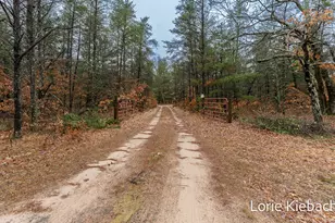 3710 E US 10, Chase, MI 49623 - Photo 14