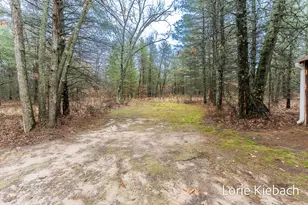 3710 E US 10, Chase, MI 49623 - Photo 32