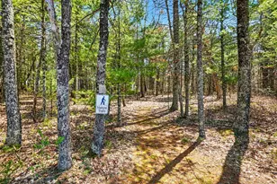 4950 S Ojibwe, Newaygo, MI 49337 - Photo 58