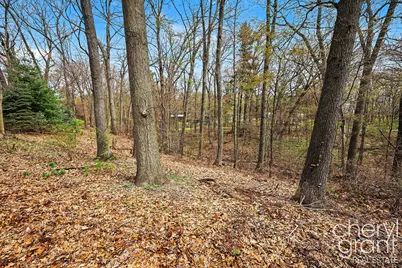 7406 Ravine Drive NE, Belding, MI 48809 - Photo 12