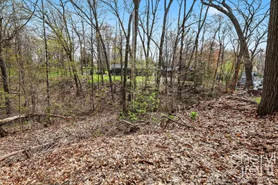 7406 Ravine Drive NE, Belding, MI 48809 - Photo 8