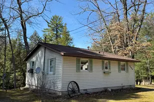 4699 N Able Rd, Irons, MI 49644 - Photo 2