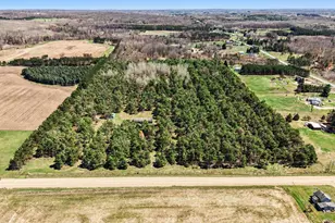 20240 10th Ave, Barryton, MI 49305 - Photo 22